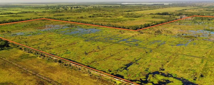 Basin 22 Wetland Mitigation Bank