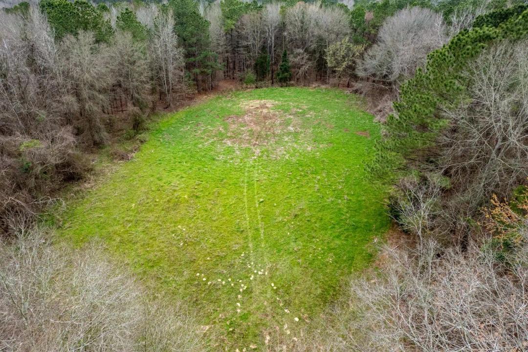 124 Acre Sportsman’s Dream