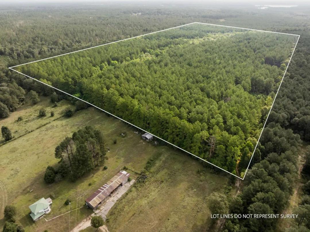 80 +/- Acres, Arthur Lowe Road, Lamar County, MS (Lumberton Area)