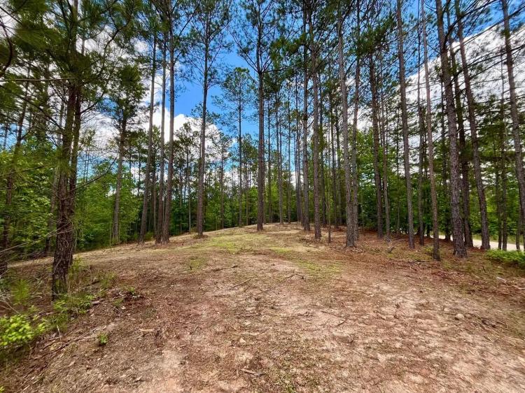 Rollin Mill Farm Tract 2 - 9+/- Ac
