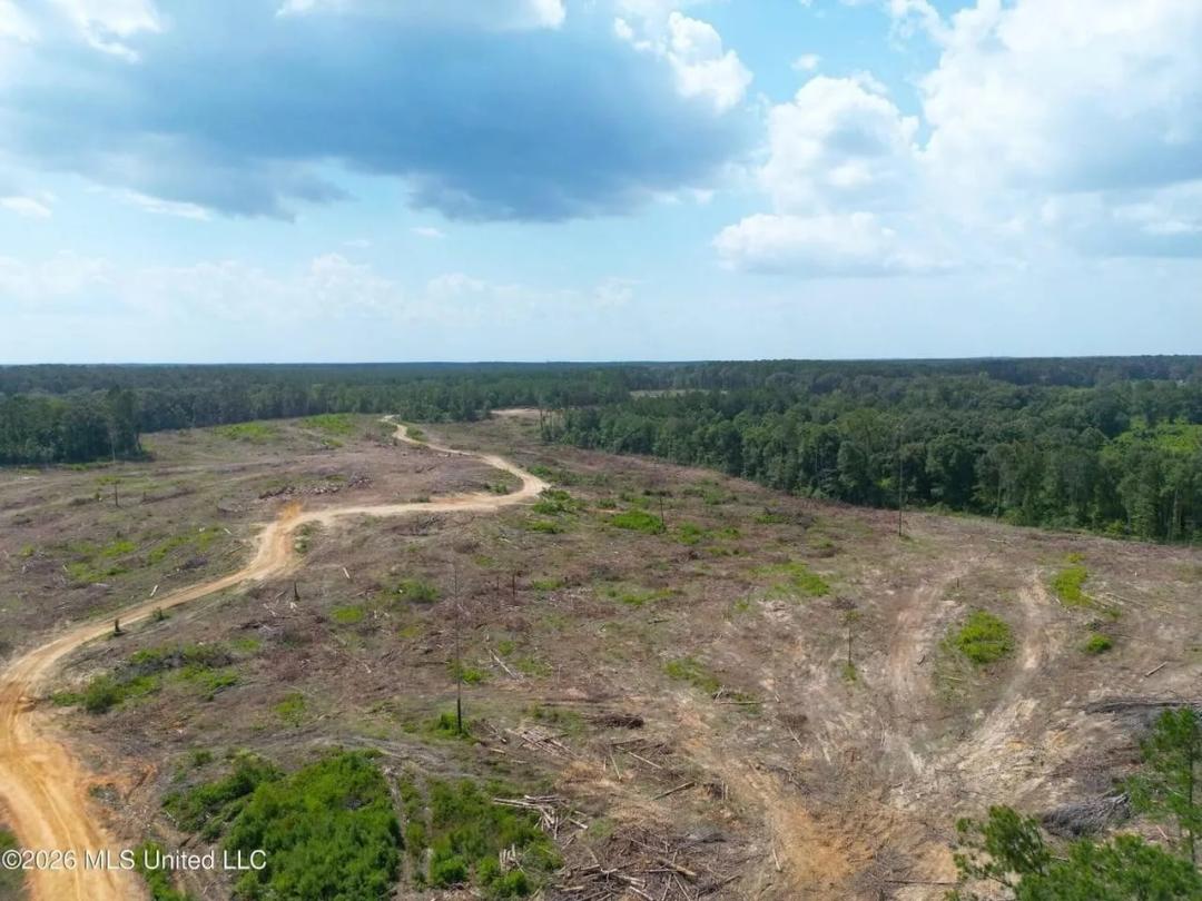   96.5+- Acres in Lincoln County MS
