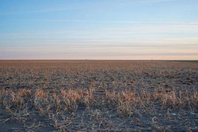 320± ACRES CROPLAND