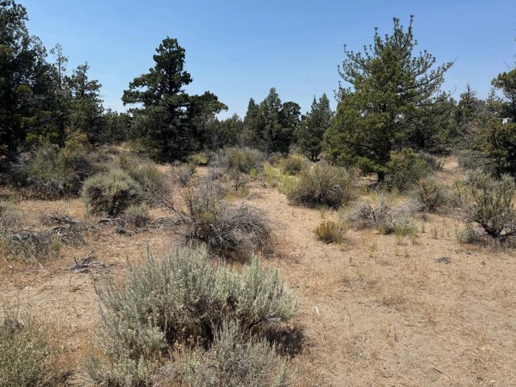 2.70 Acres at Lot 47 Marble Ave