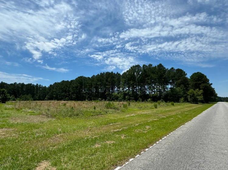Allendale County Lot For Sale