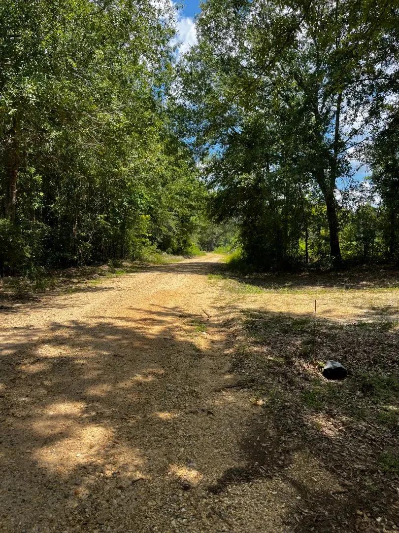 Campsite in Union County, AR 
