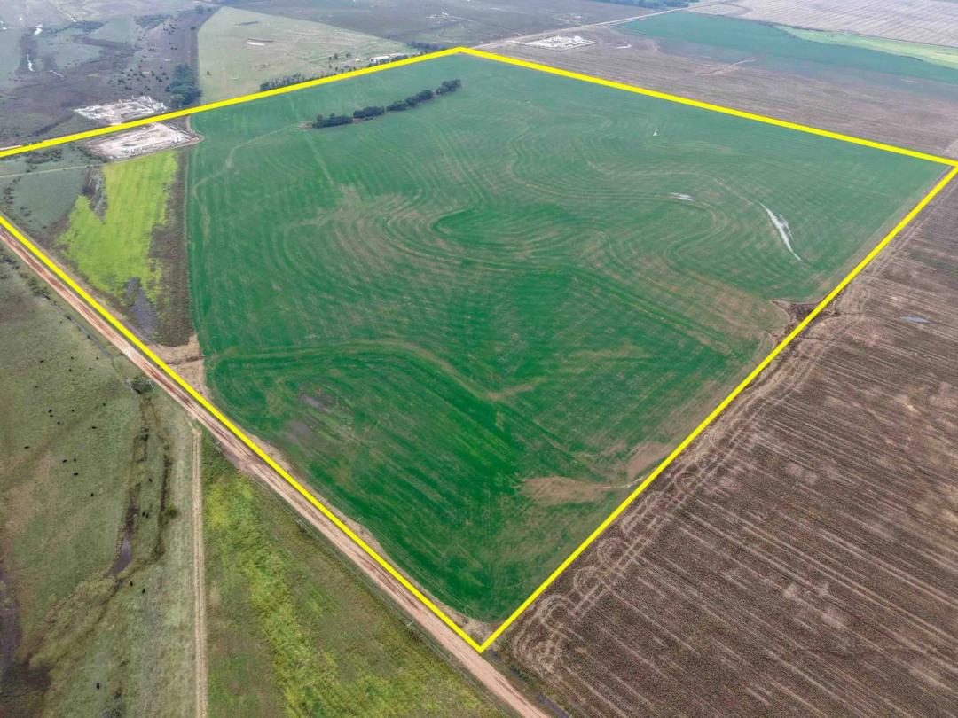 160± Acres Prime Farmland, Cultivation, Grass &amp; More!