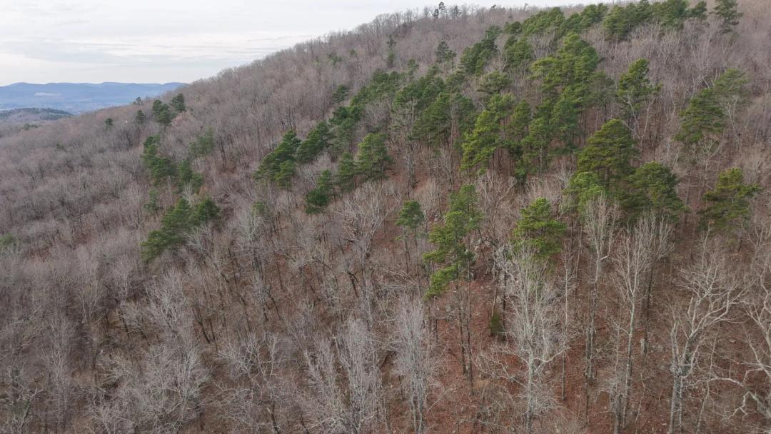 9.22 Acres in Polk County, AR