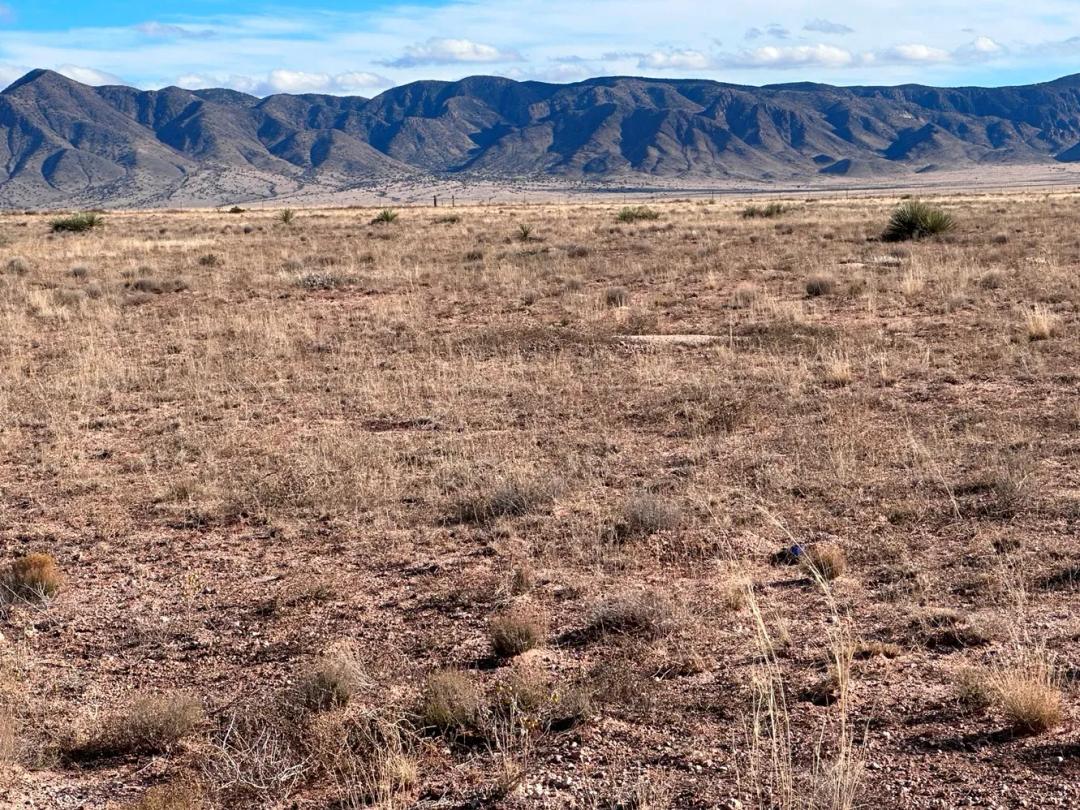 One+ Acre Lot - Great Road 2WD Road - Rio Grande Estates, Socorro County NM 