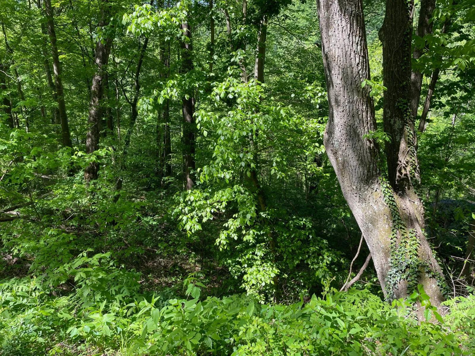18517027-2