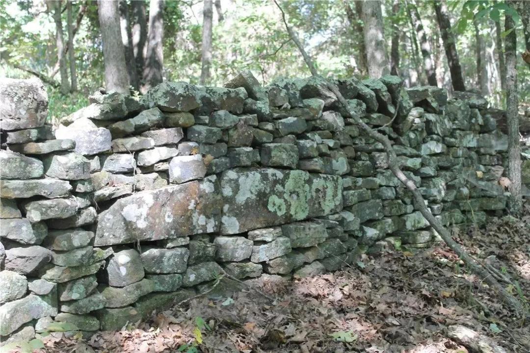 Lots & Land-Other in West Fork