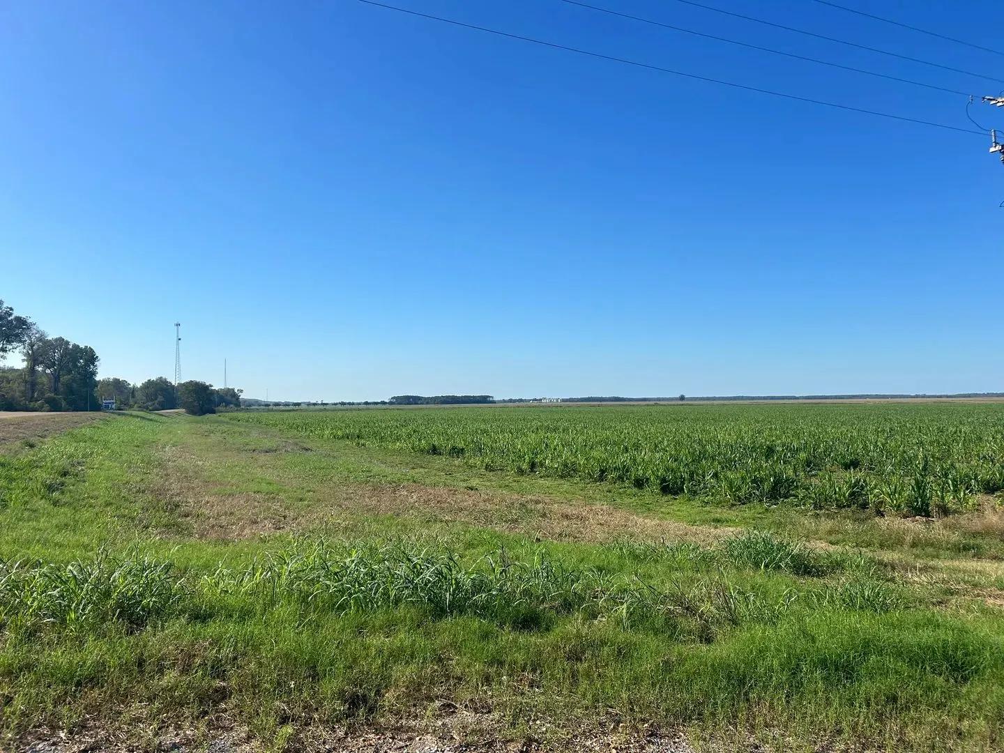 18572757-19