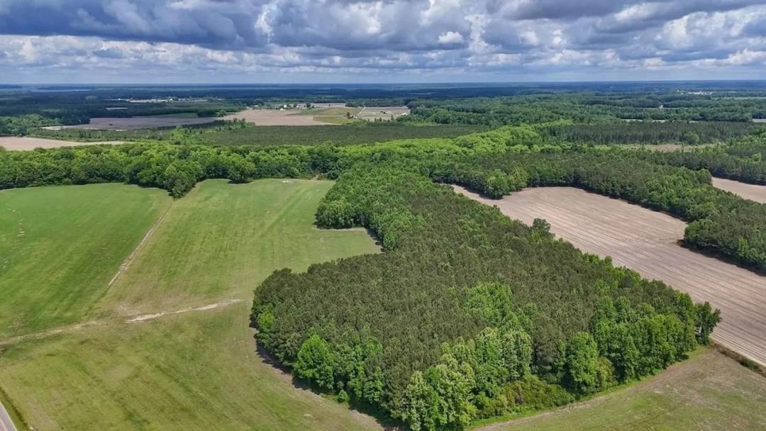 72 acres of Pastureland and Recreational Land For Sale in Chowan County NC!