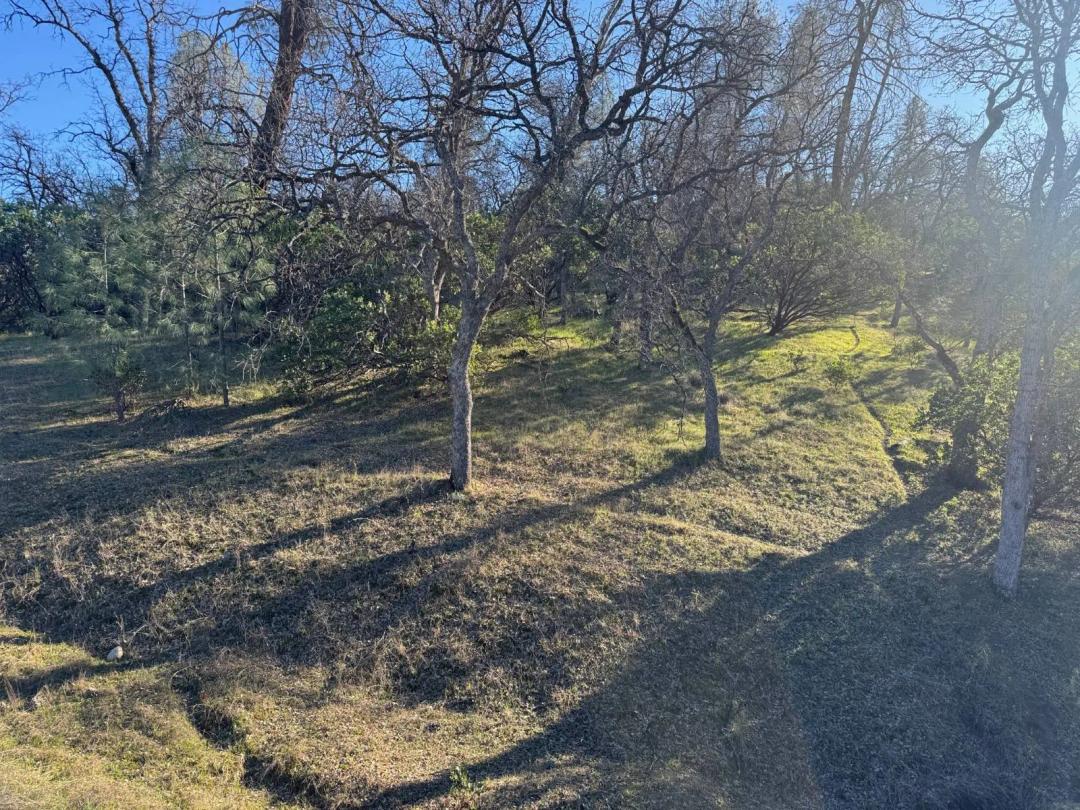 1.35 Acres at 15565 N. Mendocino