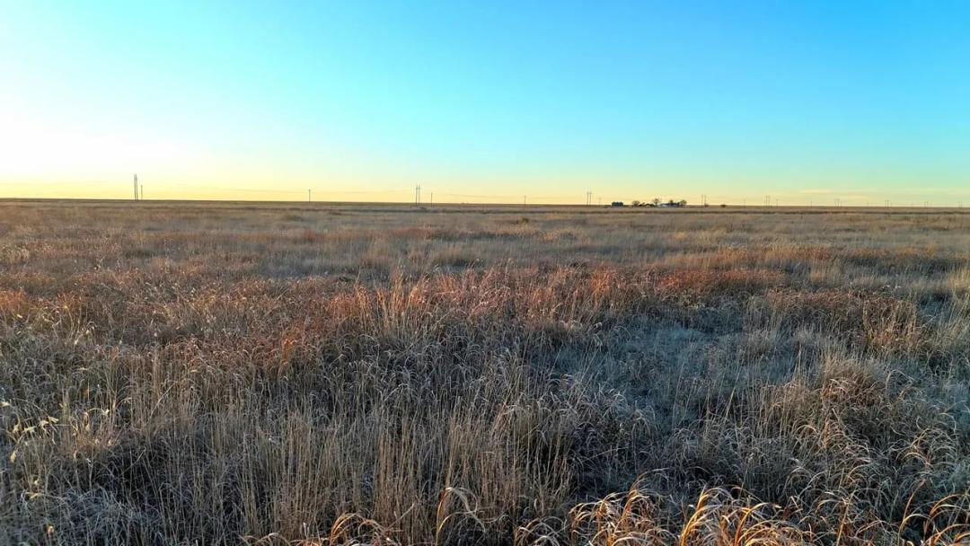 CRP Investment & Recreational Opportunity near Little Bear Creek