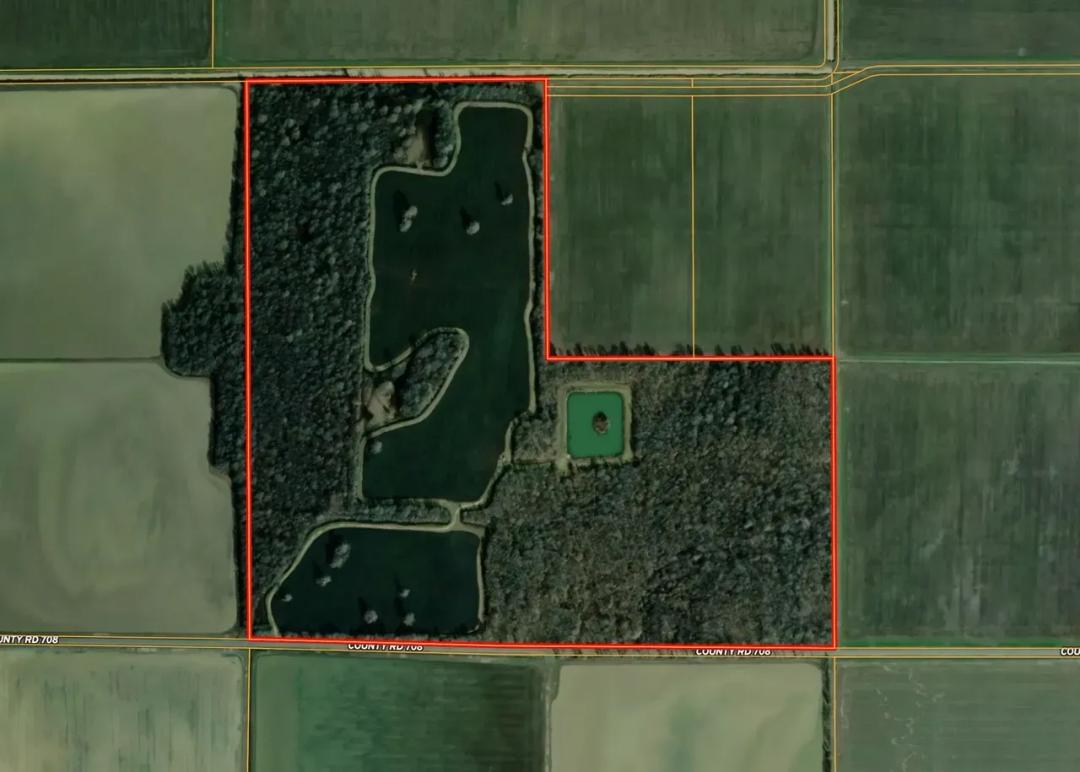 122 acres of Tillable and Timber Waterfowl Hunting Land in Southeast Missouri