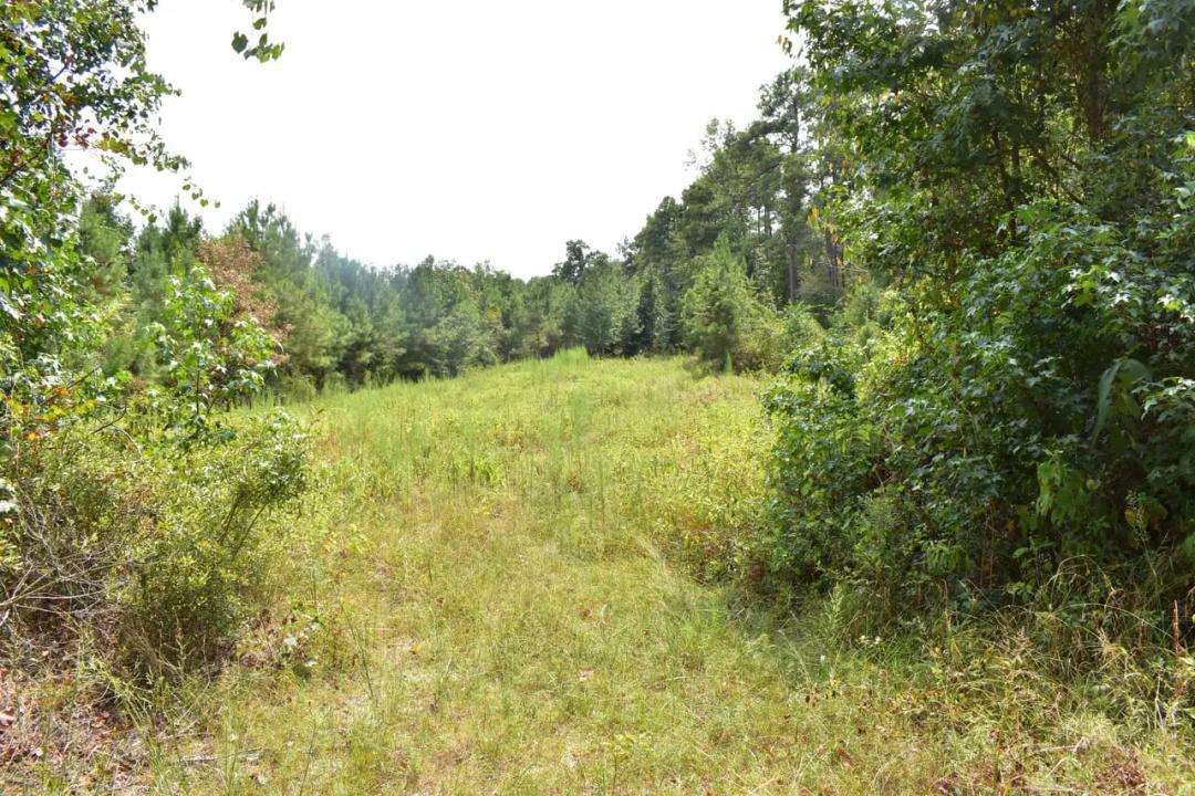 3 Creeks North A