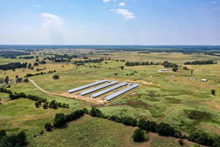 4 House Poultry Breeder Farm, Anderson County, TX