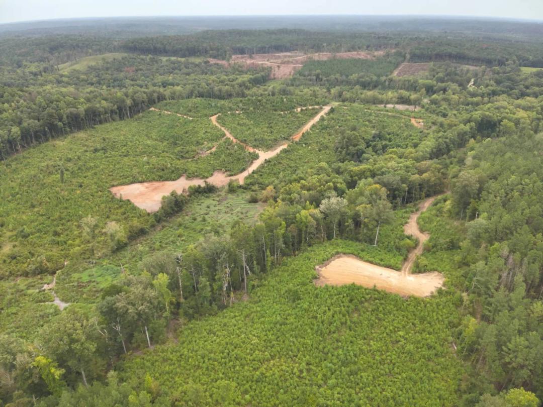 96 +/- Acres - Choctaw County - James Creek Tract