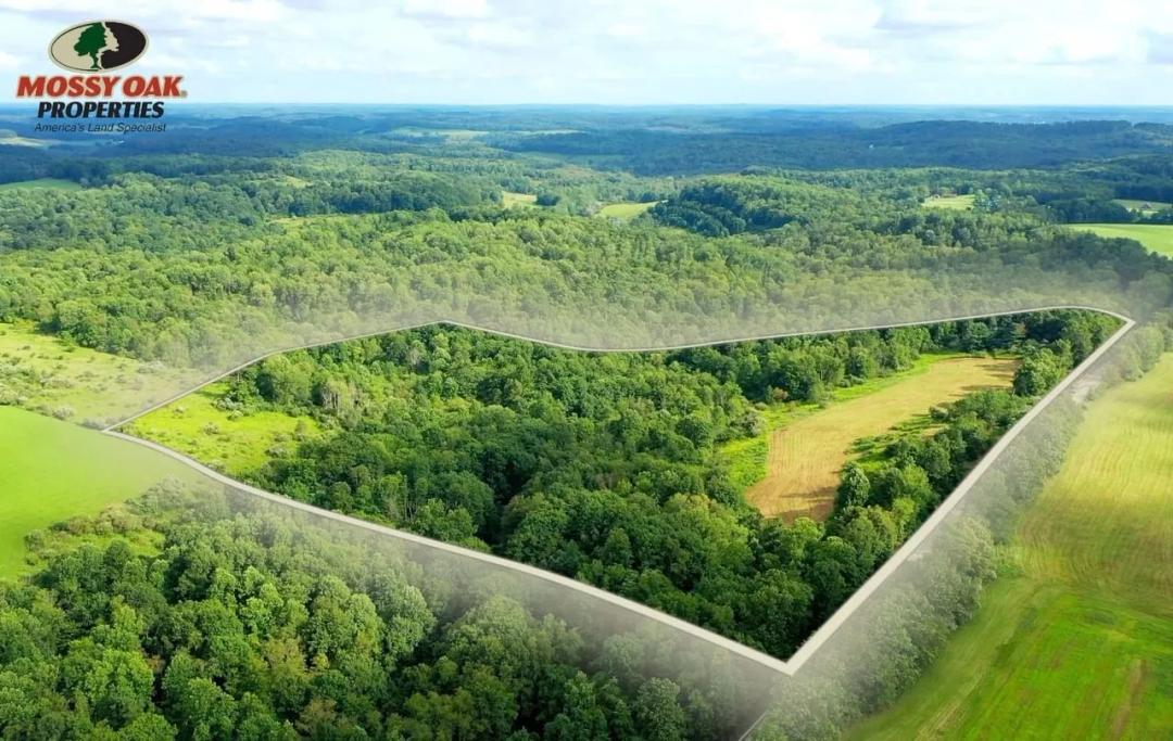 25.89± Acres at 0 Oneida Valley and Bruin Rd, Petrolia PA 16050 - Washington Twp Butler County