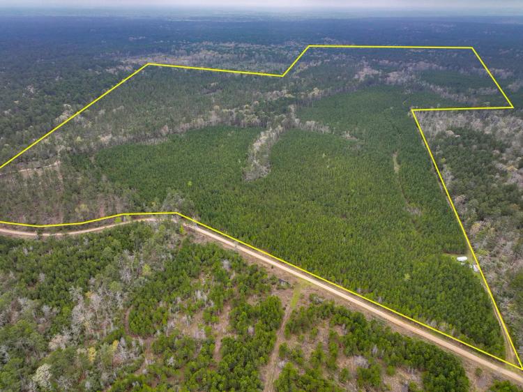 296 Acres | Forest Service Road 503