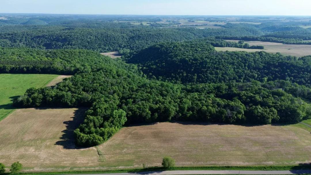 Peaceful Pierce County Acreage with Multiple Building Sites
