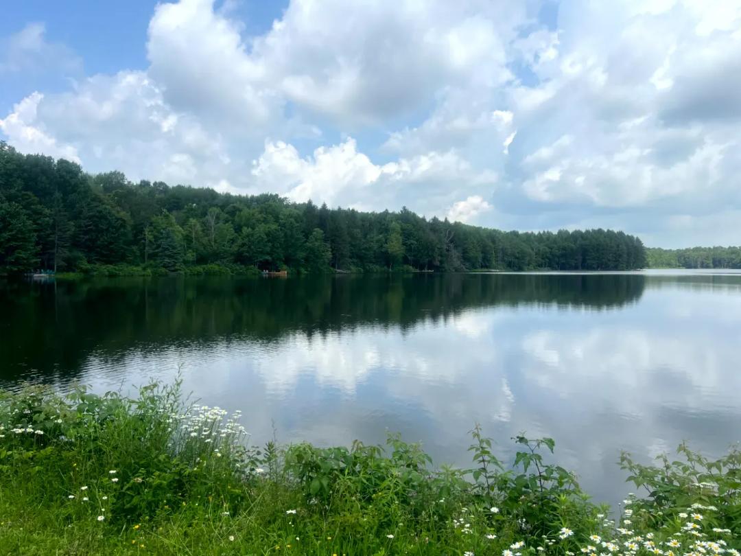 Lakefront Privacy on Beaver Meadow Lake