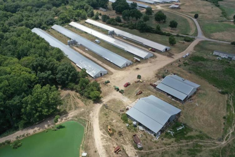 Crosson Broiler Farm