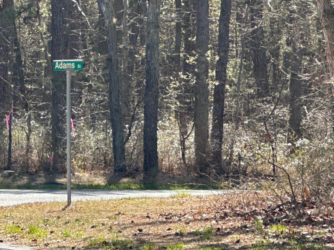 1.35 Acres at 151 Adams St.
