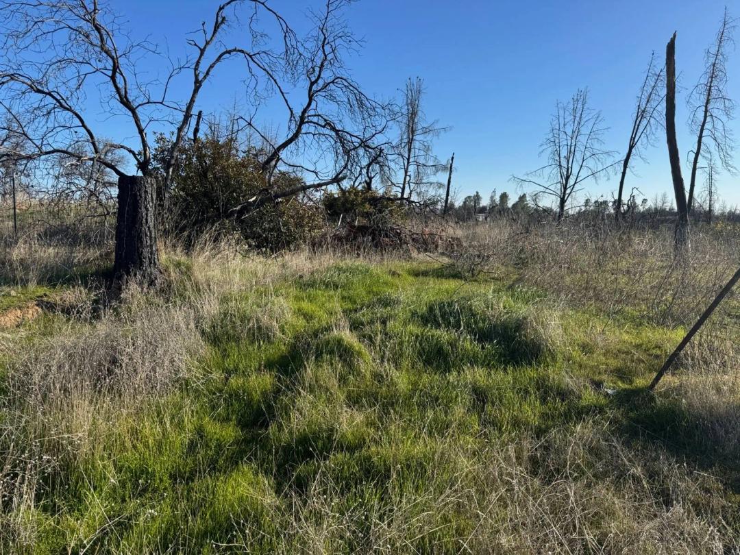 4.27 Acres at 15753 / 15743 Pine Needle Ct