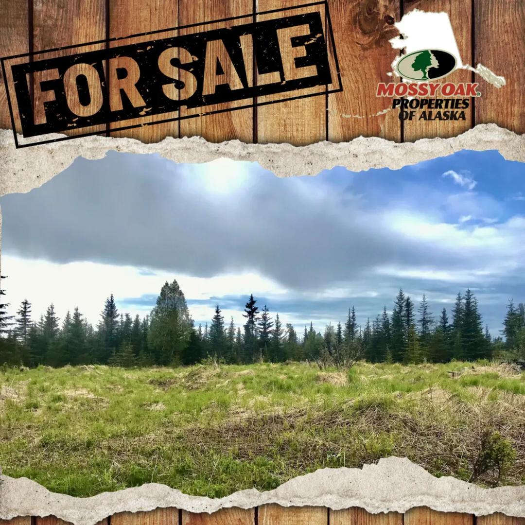 67212 Homestead 40 acres