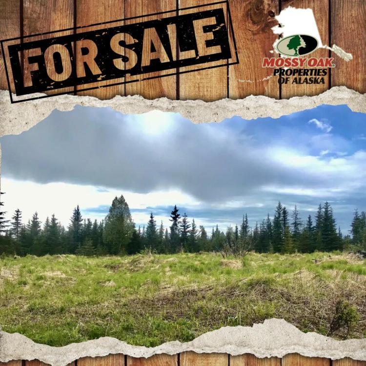 67212 Homestead 40 acres