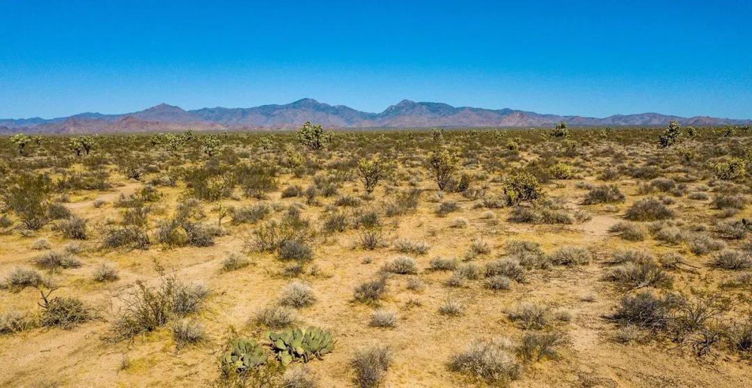Live Life on Your Own Horizon 40 Acres, Mohave, Arizona 242-06-008