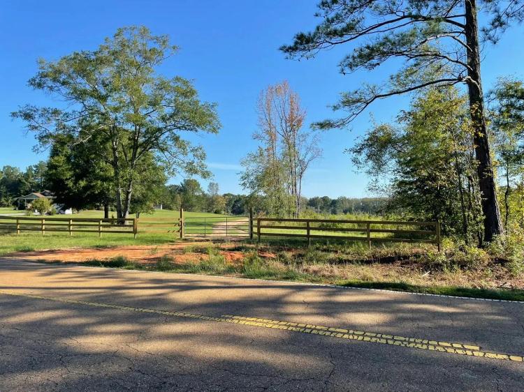 77 Acres in Winston County, MS