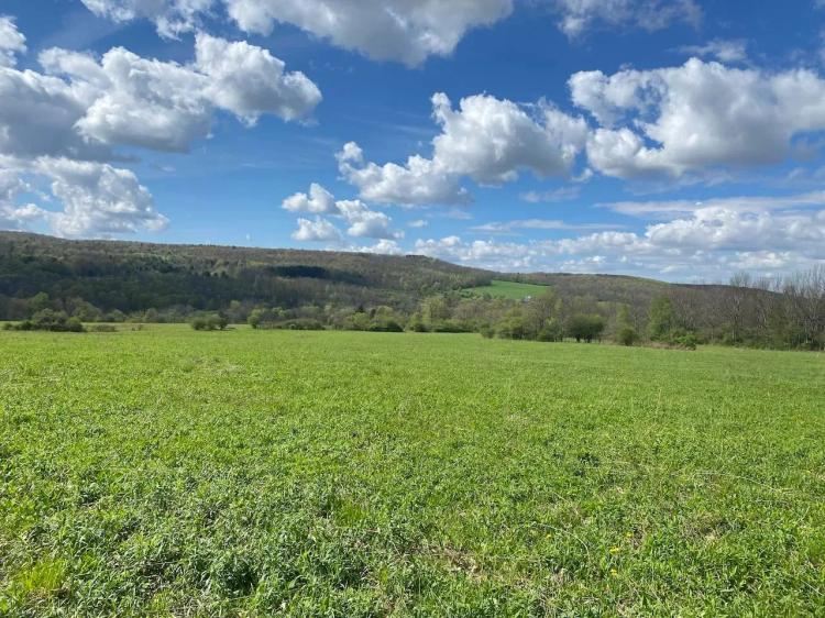 28 acres Farmland and Building Lot in Belfast NY County Road 17
