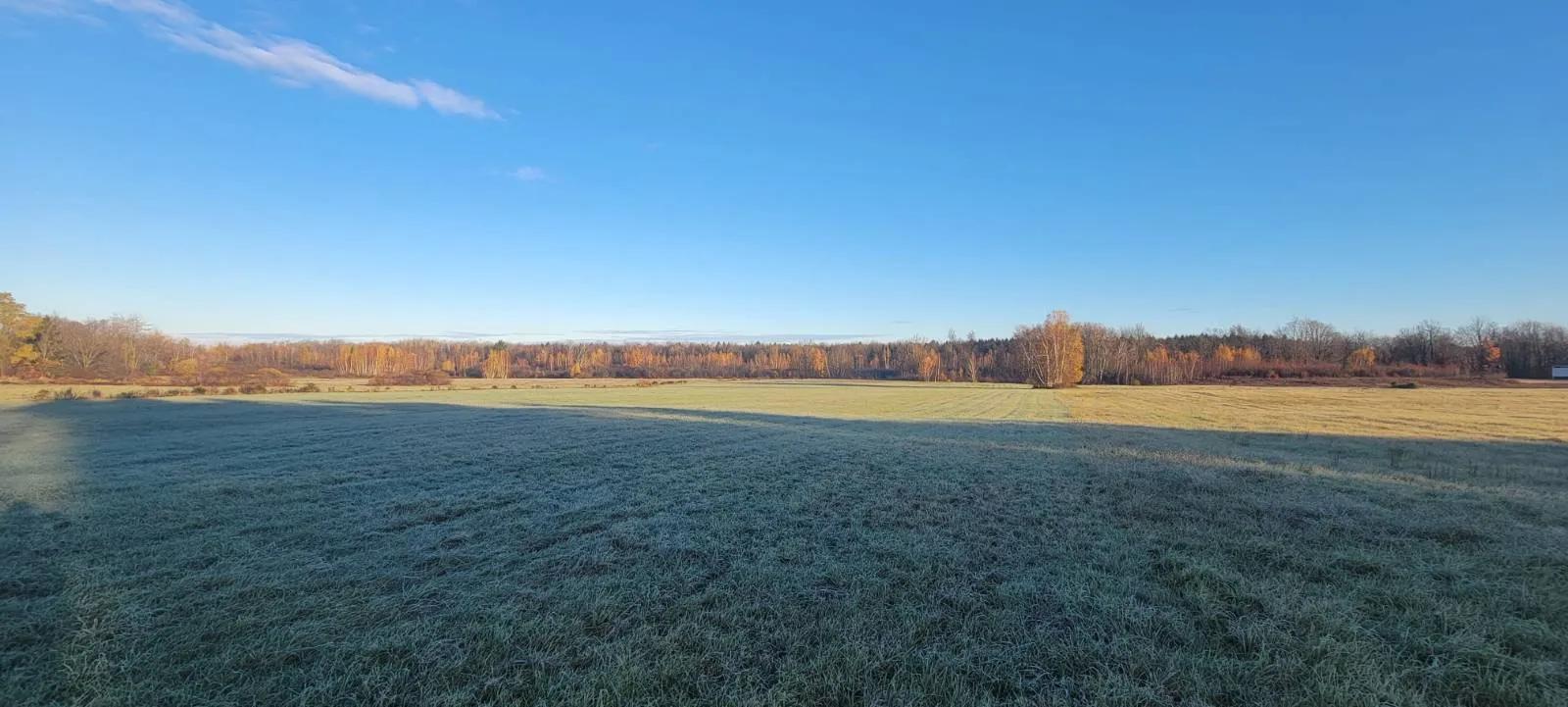 18963086-0