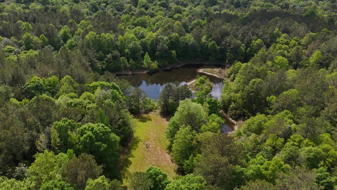 Hunting Land with Mature Hardwoods, Stocked Pond, Creek Frontage