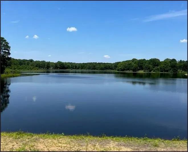 65 Acres in Webster County in Mantee, MS 