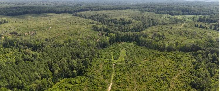 331.4 Acres in Carroll County in Cruger, MS 