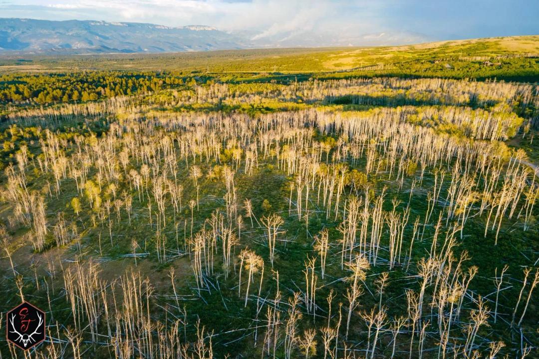 Aspen Glades Ranch