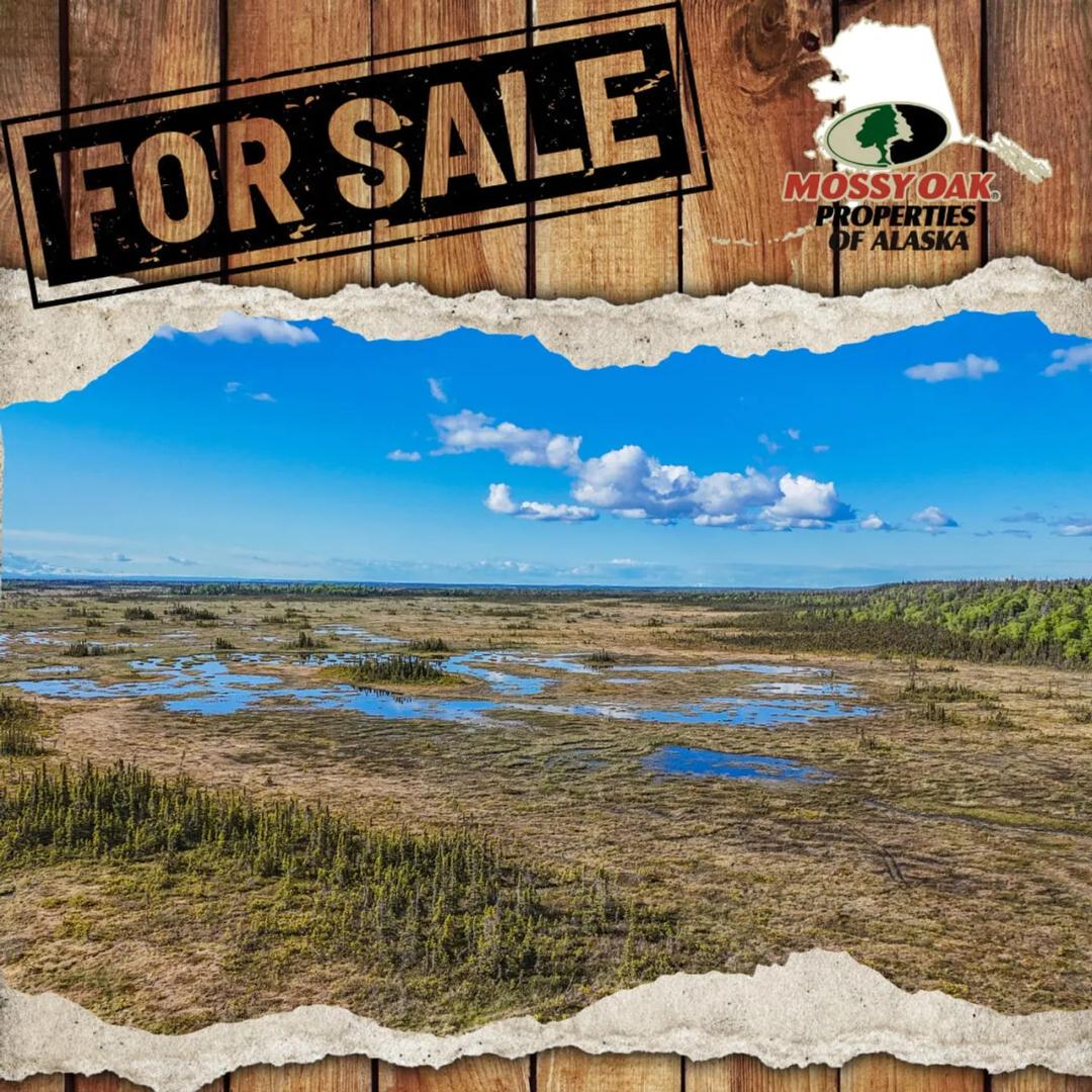 8.8 acres in Kasilof OFF GRID land -no road