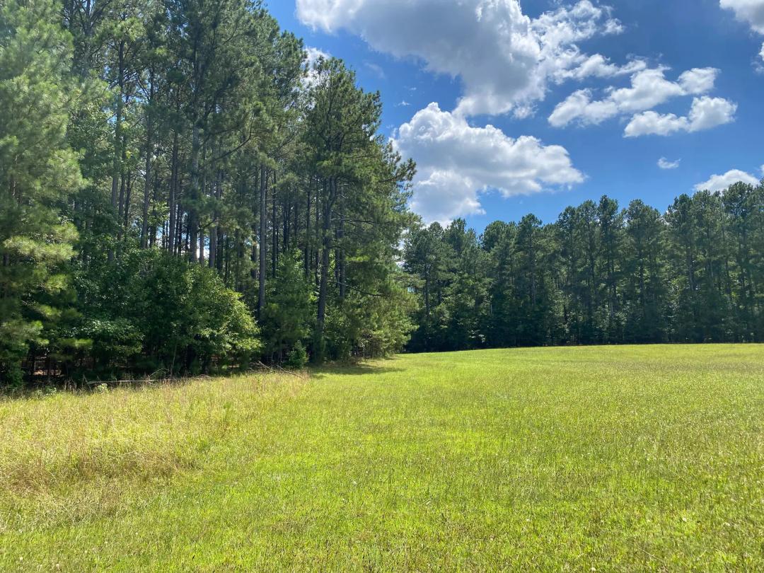 +/- 7.42 Acres on Sandy Springs Road Parcel D in Pelzer, SC
