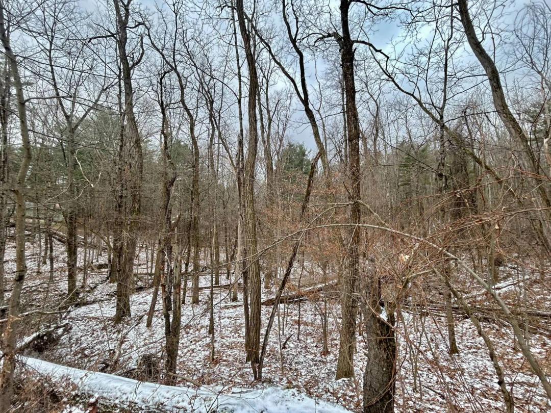 Private Wooded Lot with Assignment Opportunity