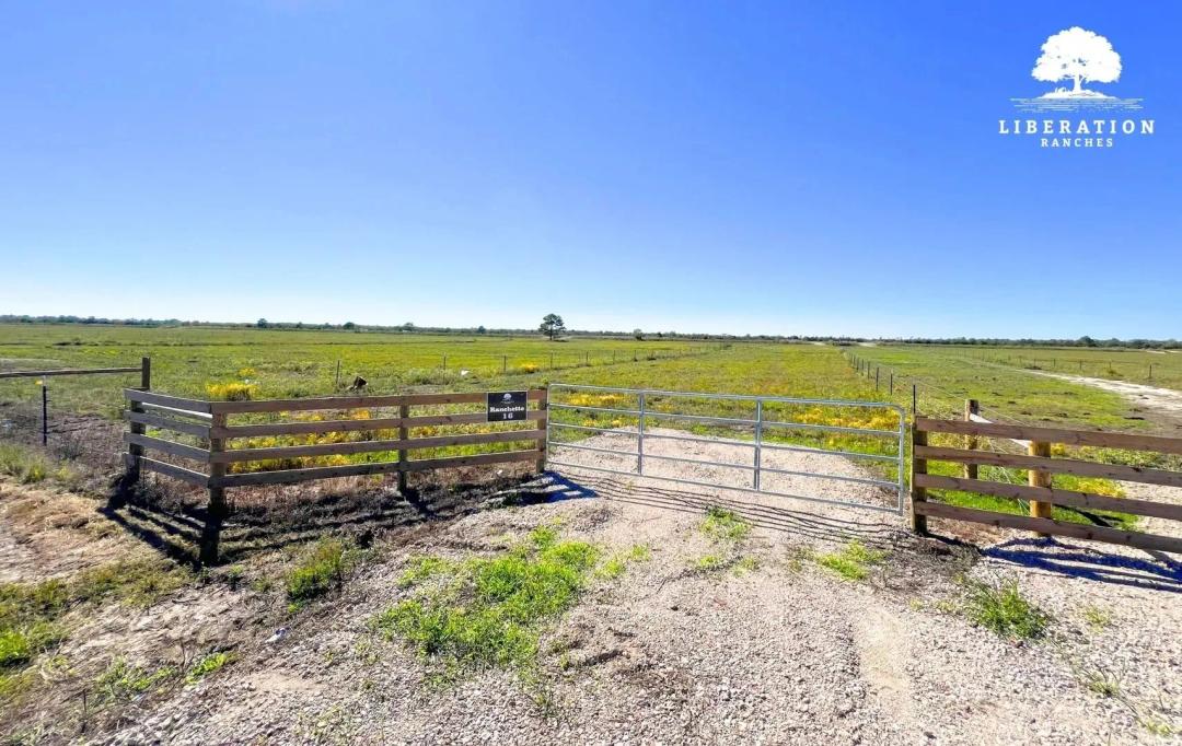 Anahuac Tract 6 | 14+ Acres | Only $15K Down