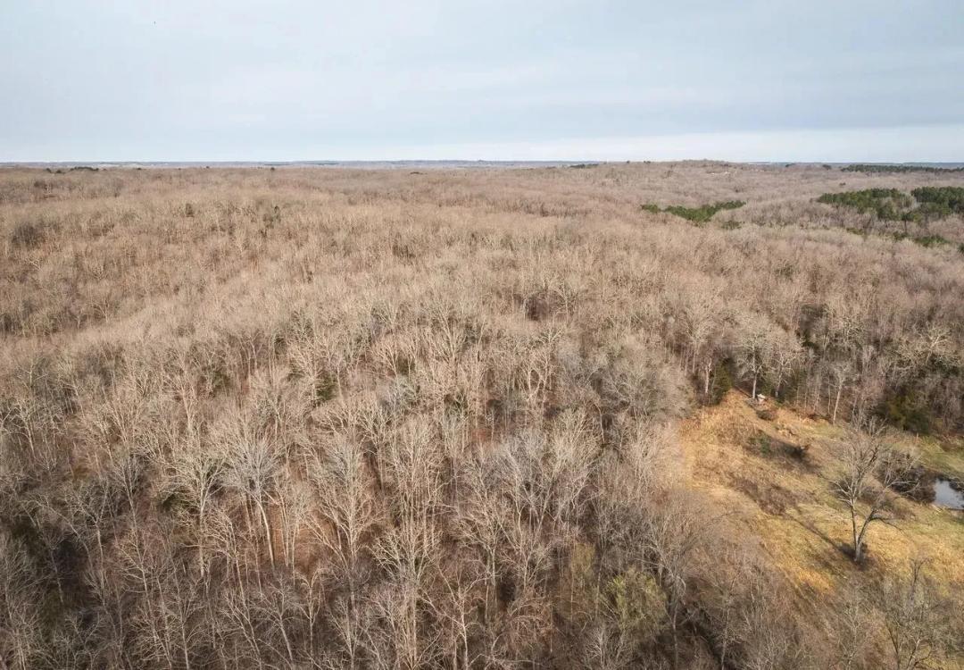 Soaring Eagle Tract 2