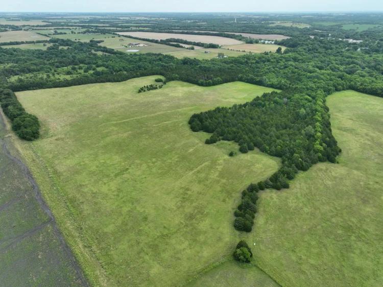 Partially Wooded Scenic Acreage For Sale in Roxton TX