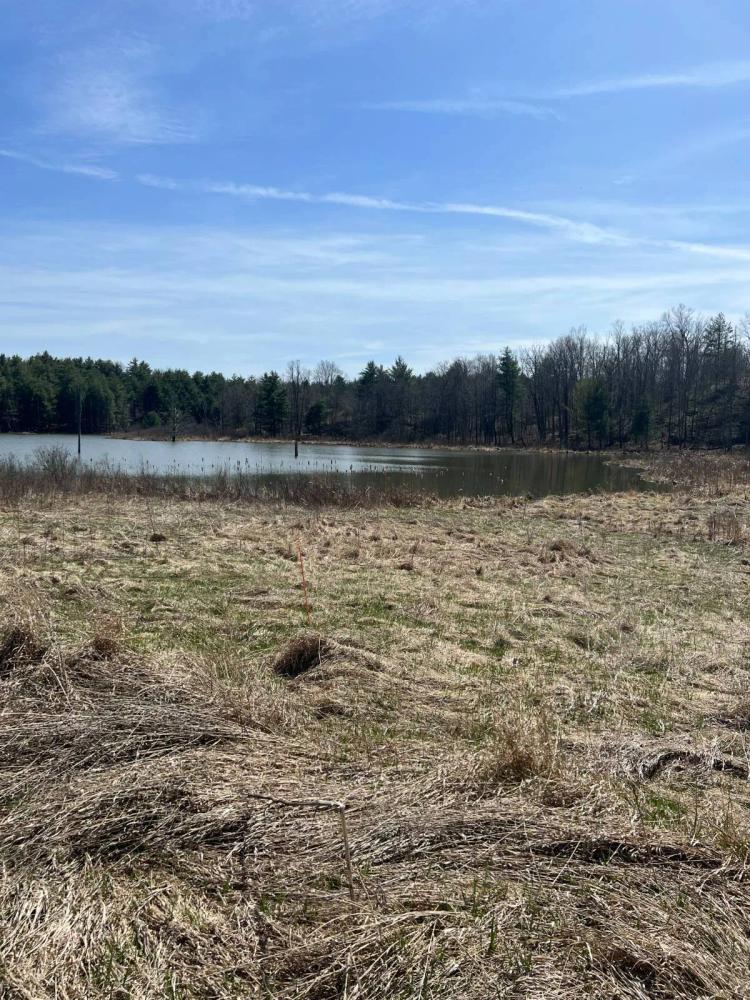 ADIRONDACK POND FRONTAGE