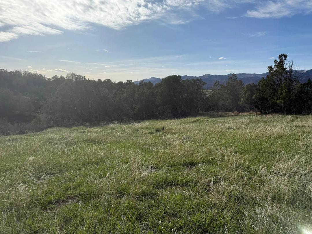 Building Lot For Sale in Western Colorado