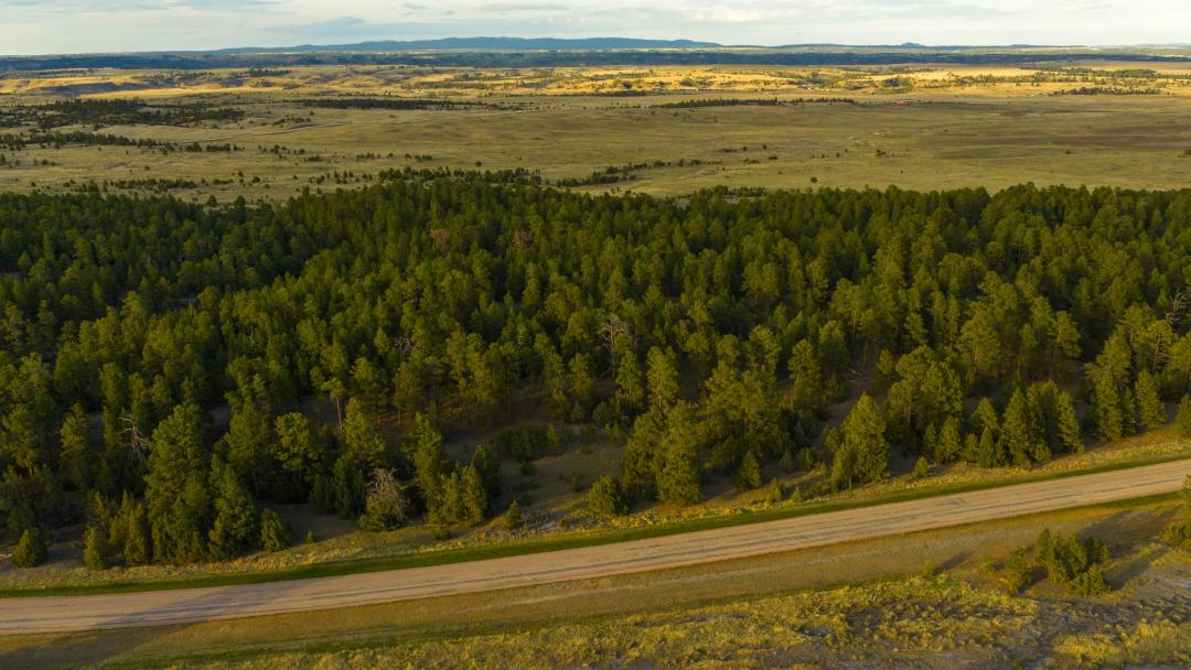 Pine Ridge lots 13-16
