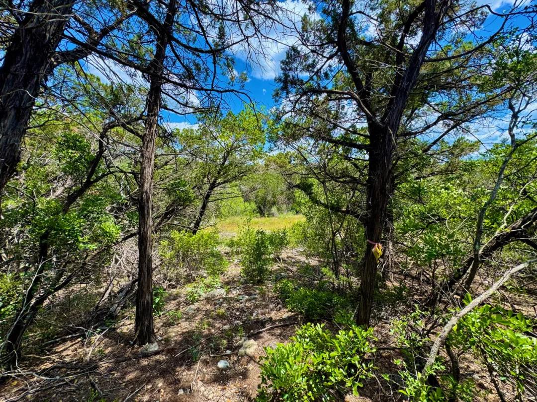 4 Acres Near Medina Lake