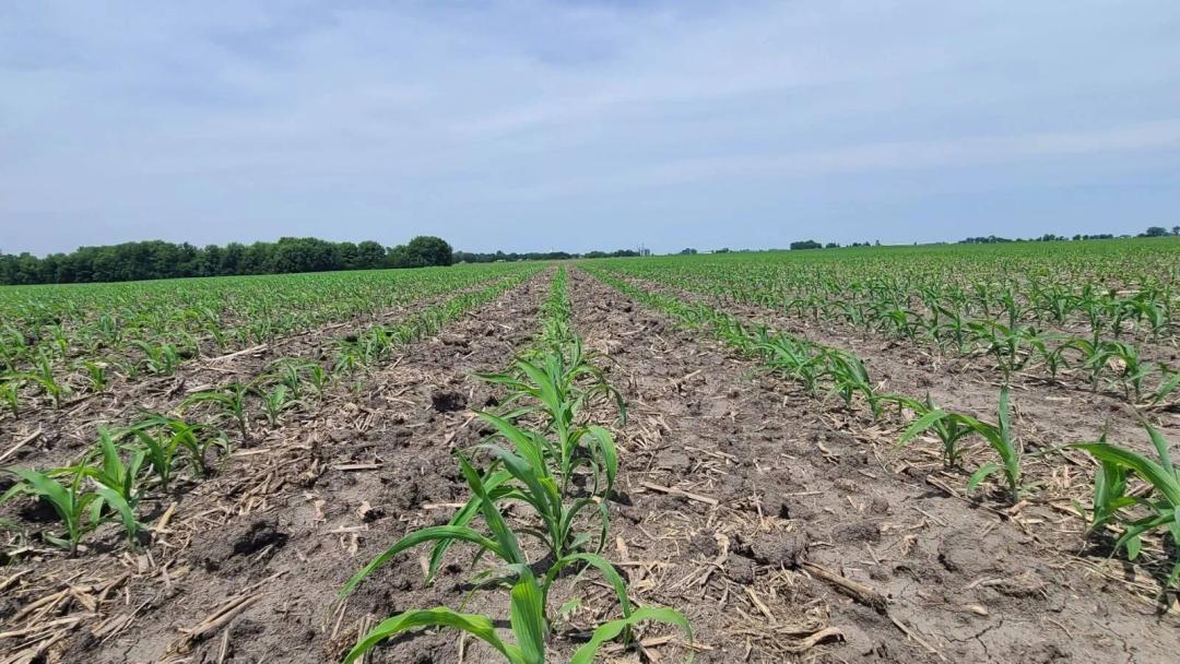 Des Moines County, IA Land Auction - 32± Acres
